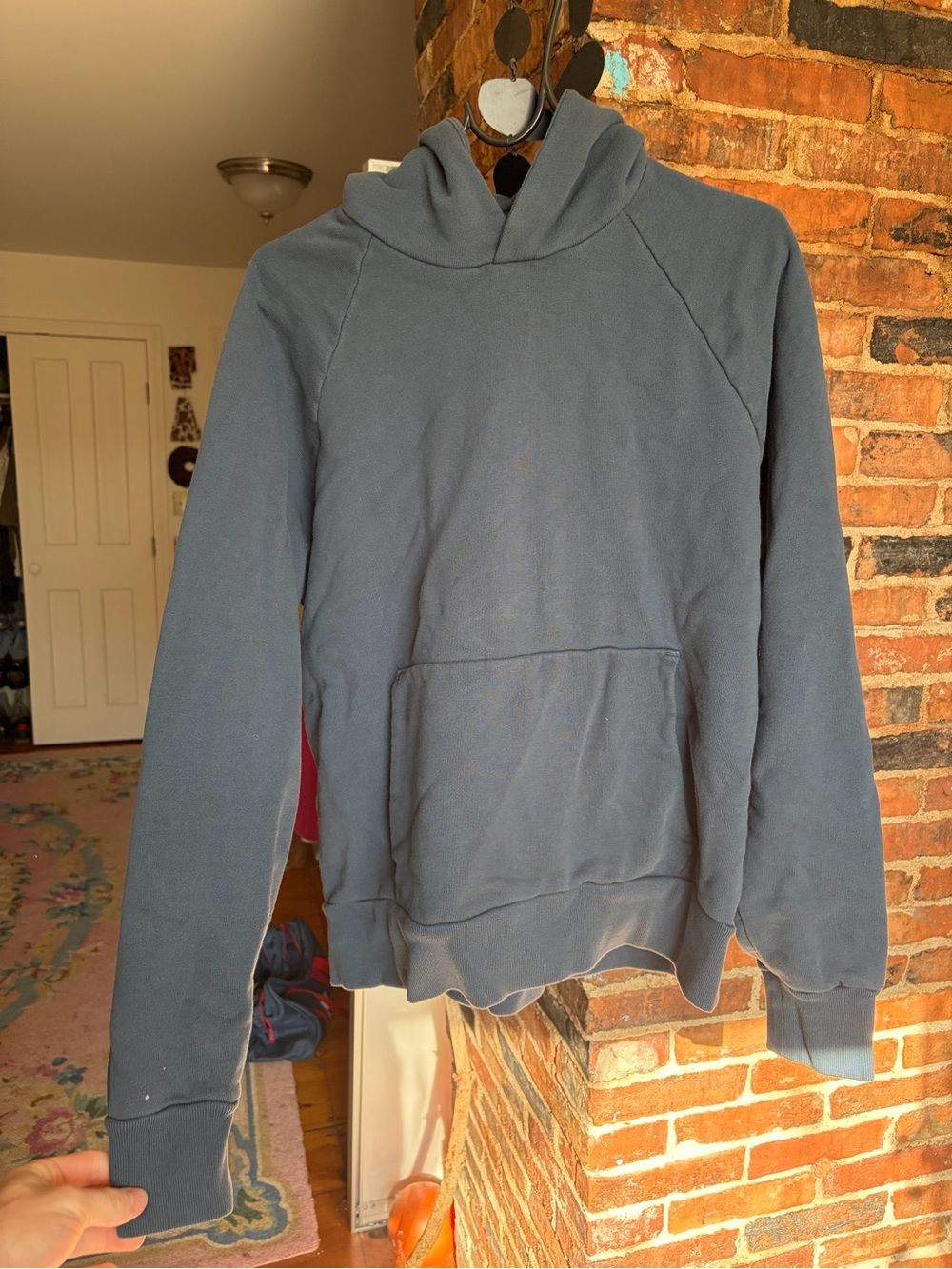 Everlane Pullover Hoodie - Blue